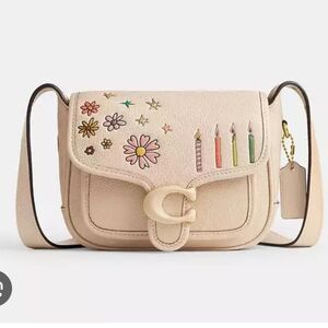 Coach observed by us Tabby Messenger